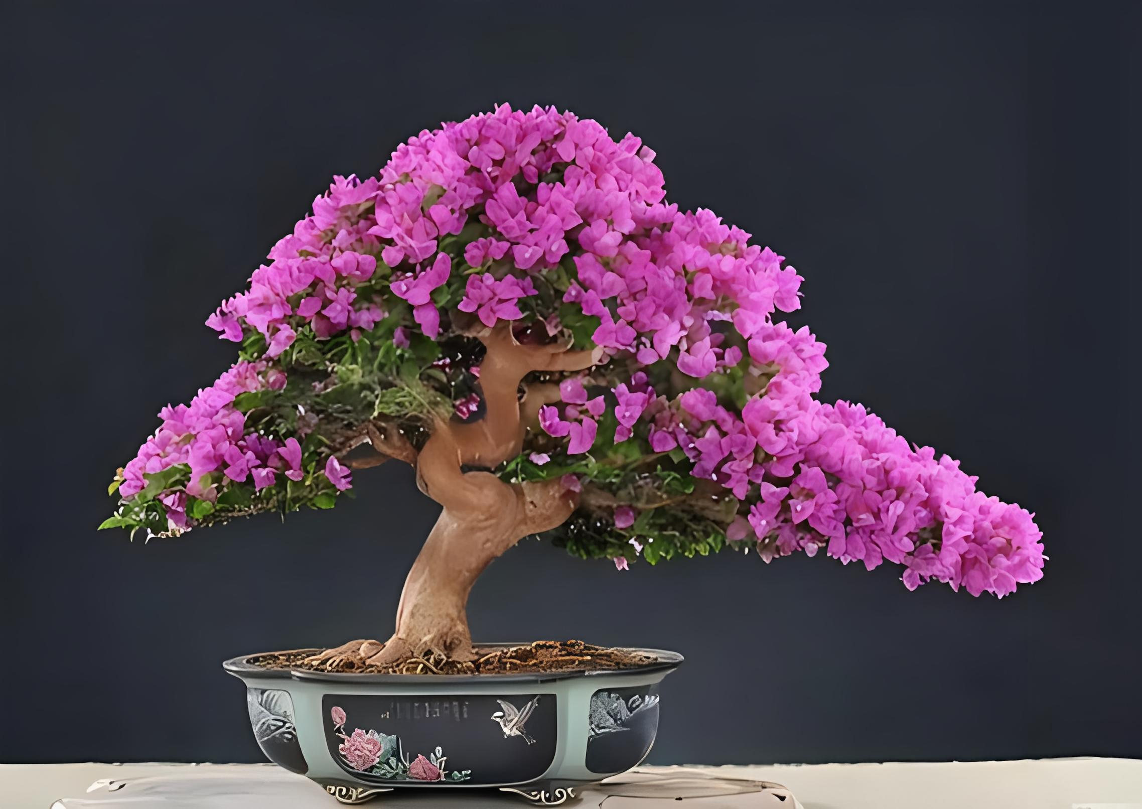 萝莉 游泳试衣间